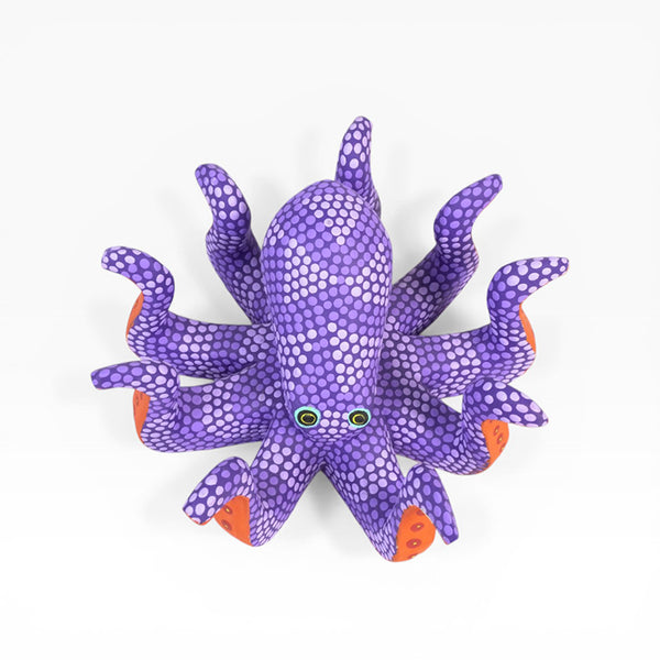 Saul Aragon: Octopus Oaxaca