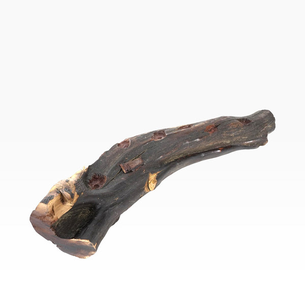 Soledad Cruz: Jaguars Encounter Woodcarving