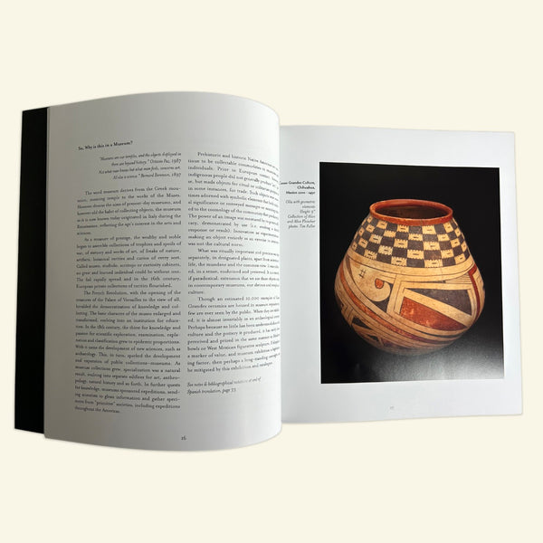 Talking Birds The Ceramic of Casas Grandes  Book Softcover