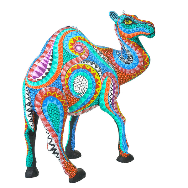 Neftali Martinez: Beautiful Desert Camel