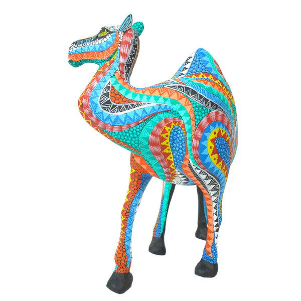 Neftali Martinez: Beautiful Desert Camel