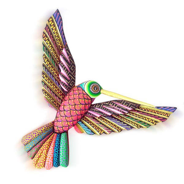 Veronica Calvo: Wall Joy Hummingbird