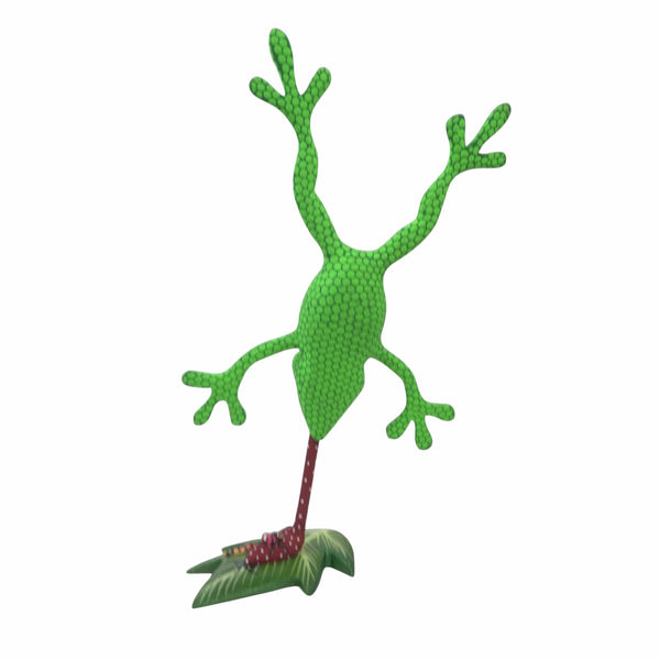 Tribus Mixes: Frog Alebrije