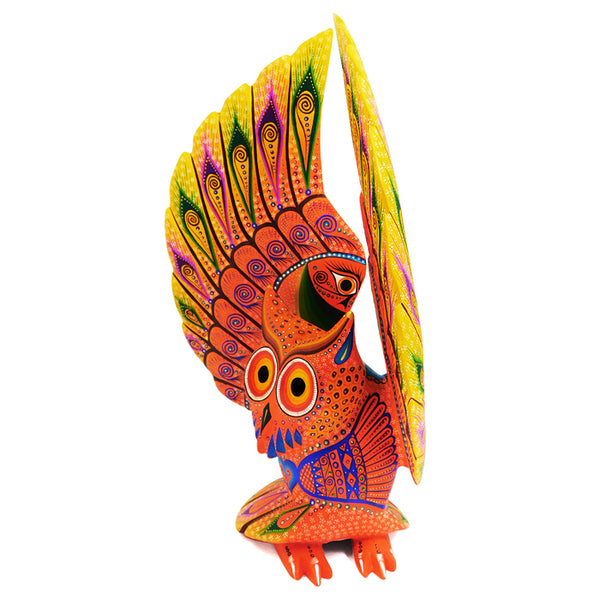 Luis Sosa: Large Sundown  Owl