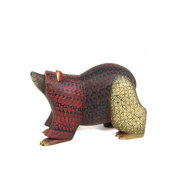 Hedilberto Olivera: Little Cinnamon Bear