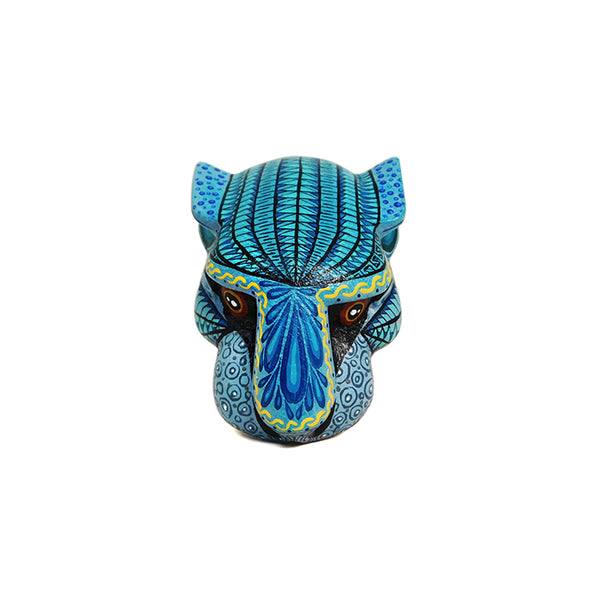 Aldo Hernandez Casa Don Juan: Little Jaguar Mask