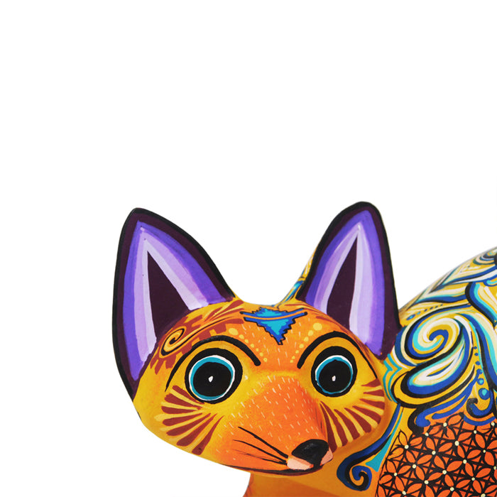 Angel Racoon Angel Ramirez: Baby Raccoon | Sandia Folk