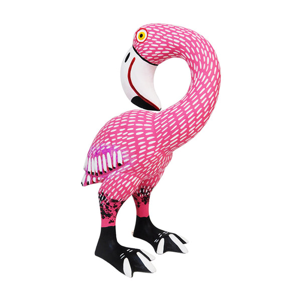 Armando Jimenez: Flamingo
