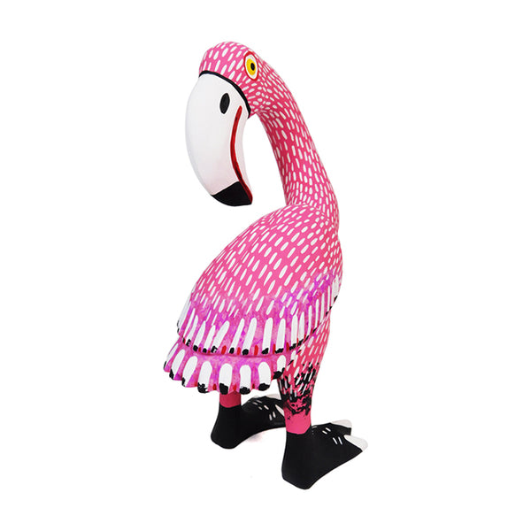 Armando Jimenez: Flamingo