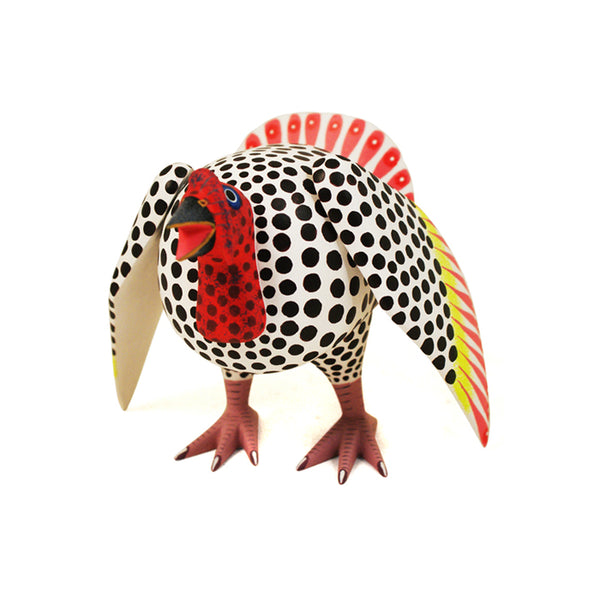 Avelino Perez: Little Turkey
