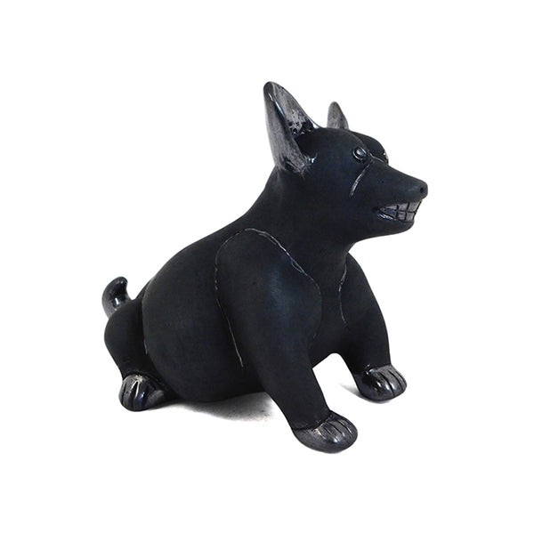 Barro Negro: Colima Dog