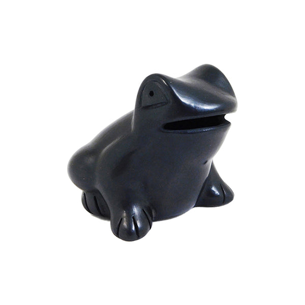 Barro Negro: Frog