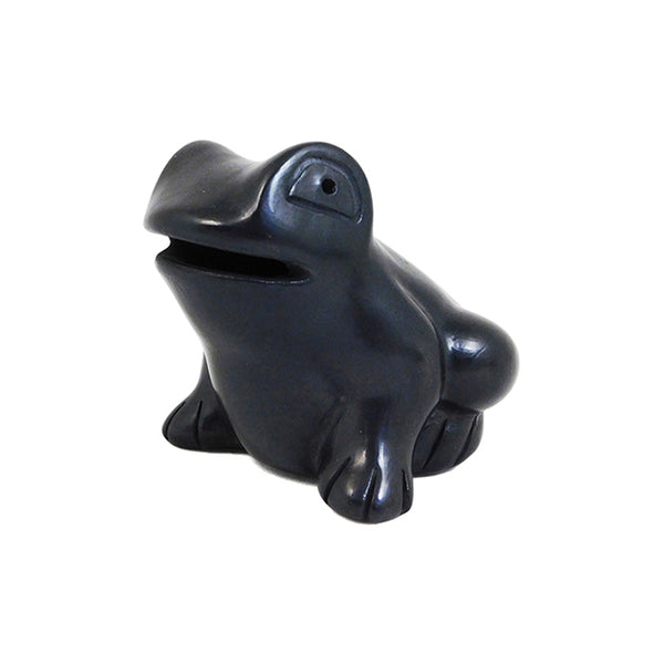 Barro Negro: Frog