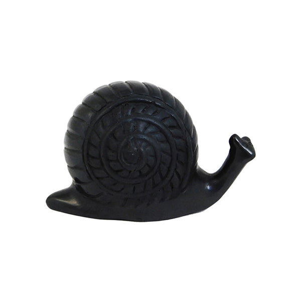 Barro Negro: Snail