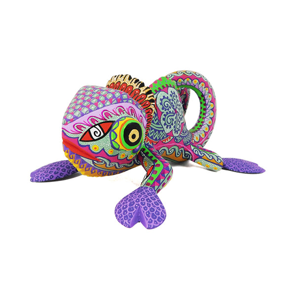Bertha Cruz: Chameleon