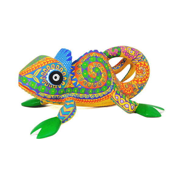 Bertha Cruz: Chameleon