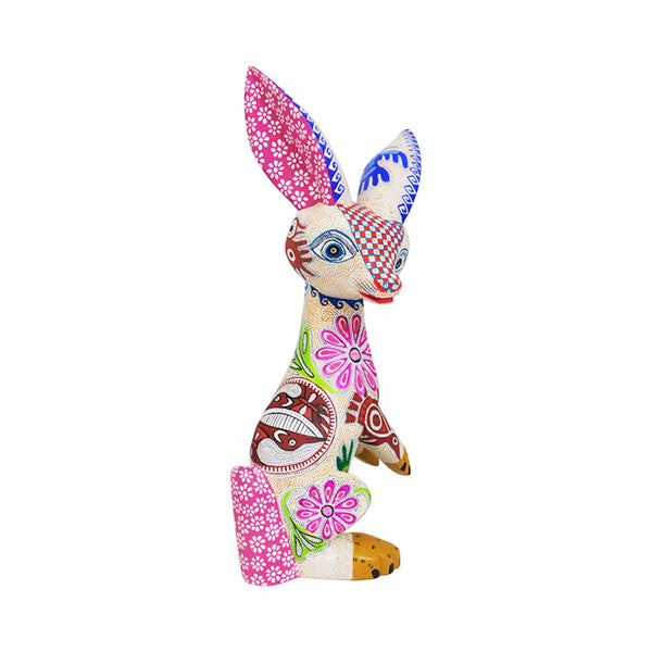 Bertha Cruz: Little Codex Rabbit