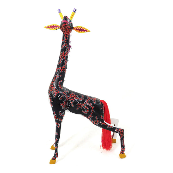Candido Jimenez: Giraffe