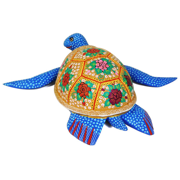 Candido Jimenez: Happy Turtle