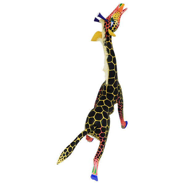Catarino Carillo: Giraffes