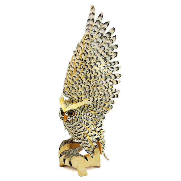 Tribus Mixes: Spectacular Owl