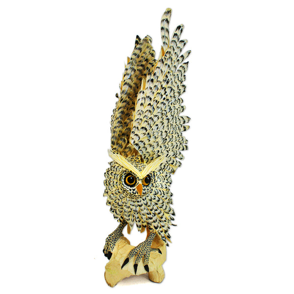 Tribus Mixes: Spectacular Owl
