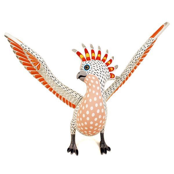 Luis Pablo: Spectacular Cockatoo