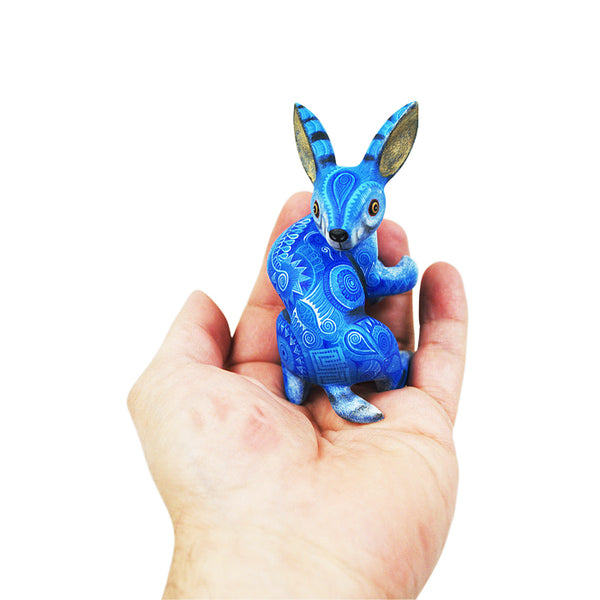 Raymundo Fabian: Miniature Rabbit