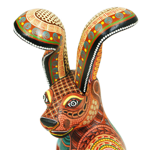 Manuel Cruz: Stunning Rabbit