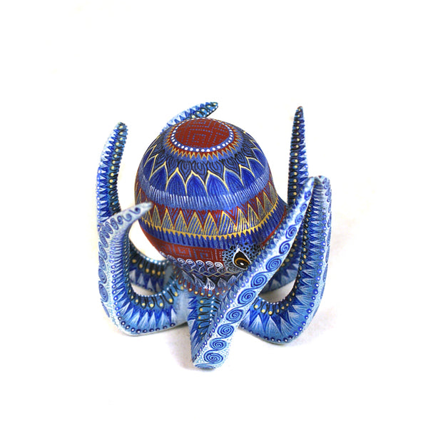 Raymundo Fabian: Miniature Octopus