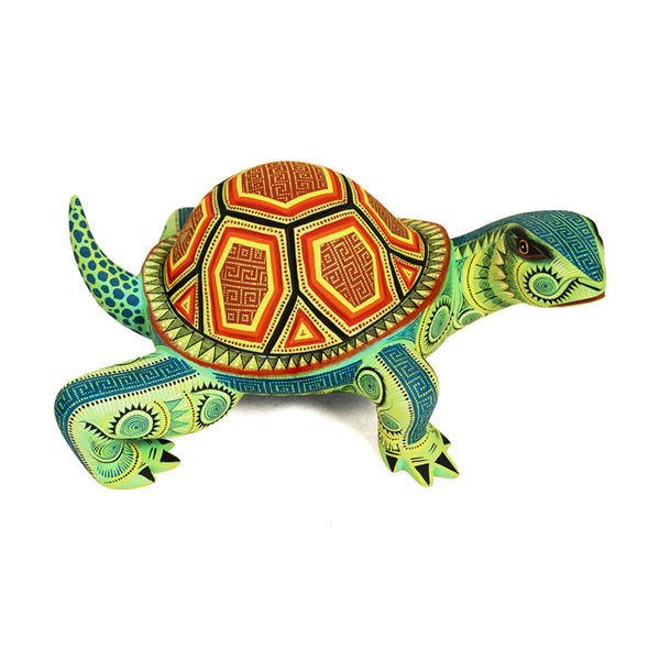 Rocio Fabian: Magnificently Painted Turtle