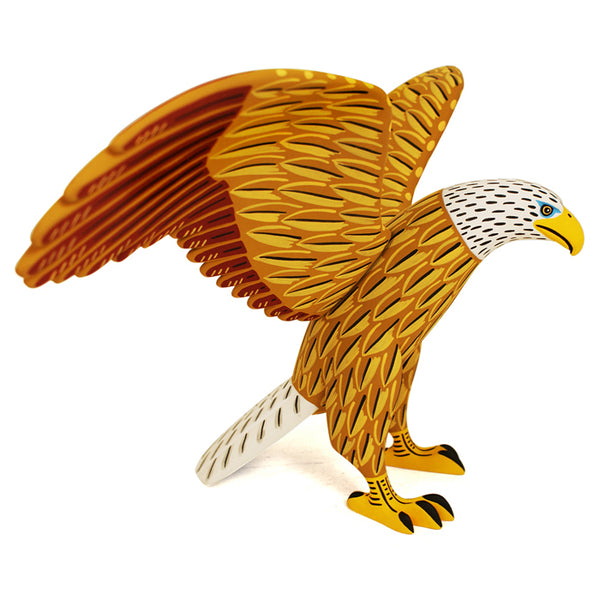 Luis Pablo: Majestic Bald Eagle