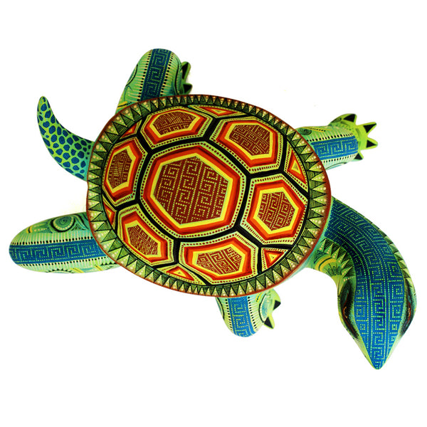 Rocio Fabian: Magnificently Painted Turtle
