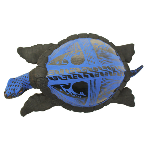 Nicolas Ortiz: Sapphire Turtle