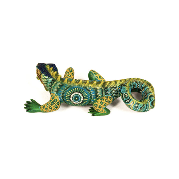 Oscar Fabian: Miniature Iguana