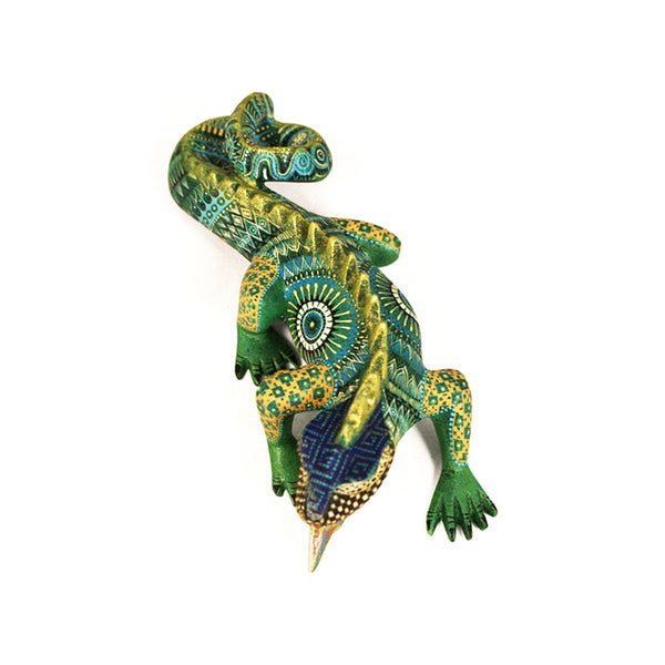 Oscar Fabian: Miniature Iguana