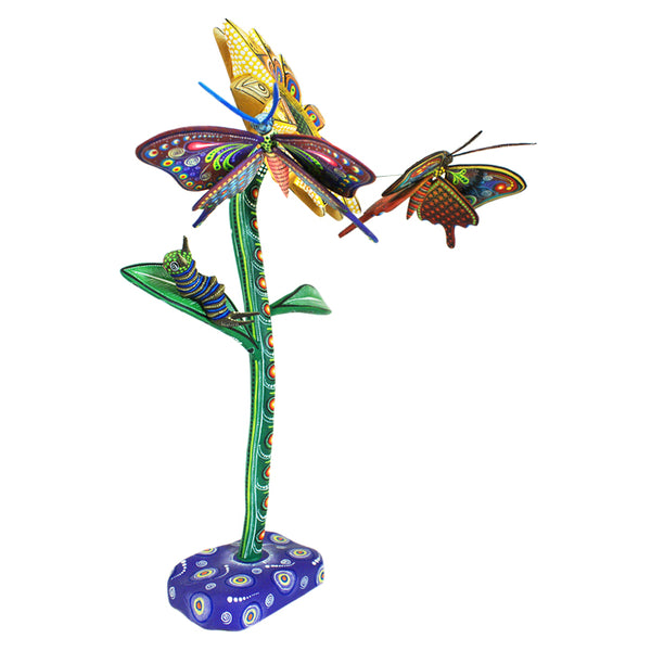 Manuel Cruz: Unique Flower & Butterflies