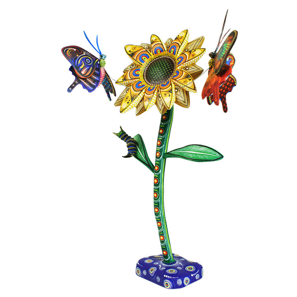 Manuel Cruz: Unique Flower & Butterflies