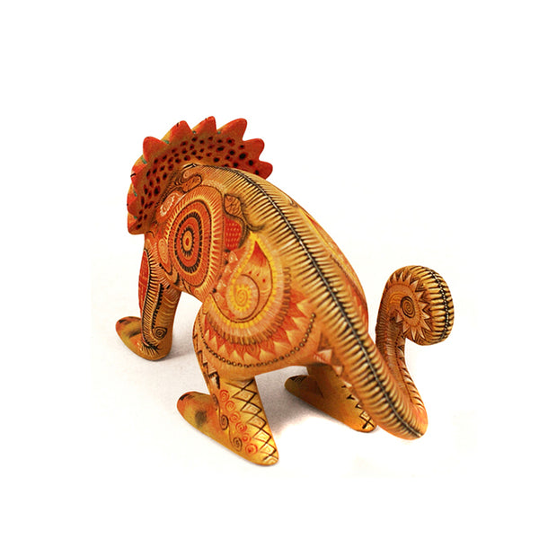 Raymundo Fabian: Miniature Chameleon