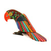Nicolas Morales: Colorful Parrot