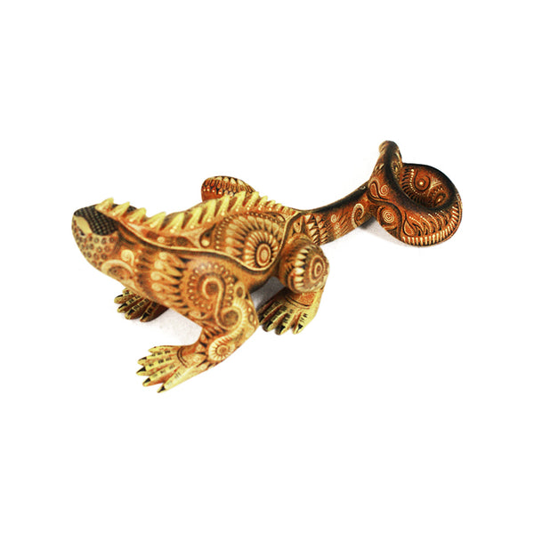 Tereso Fabian & Angelica Fabian: Impressive Miniature Iguana