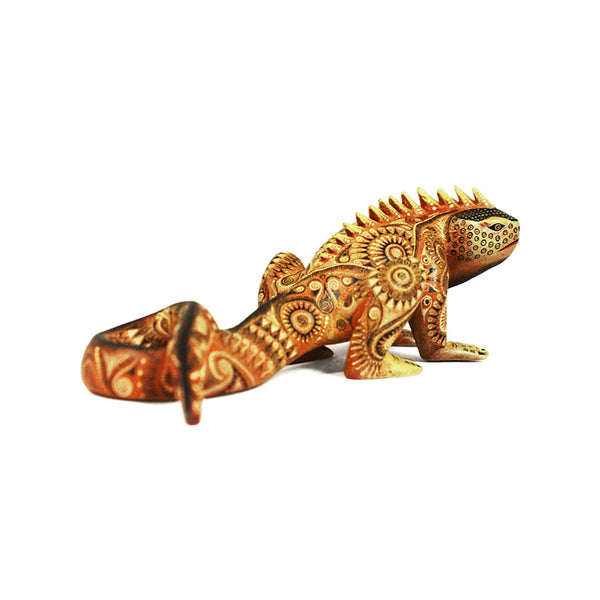 Tereso Fabian & Angelica Fabian: Impressive Miniature Iguana