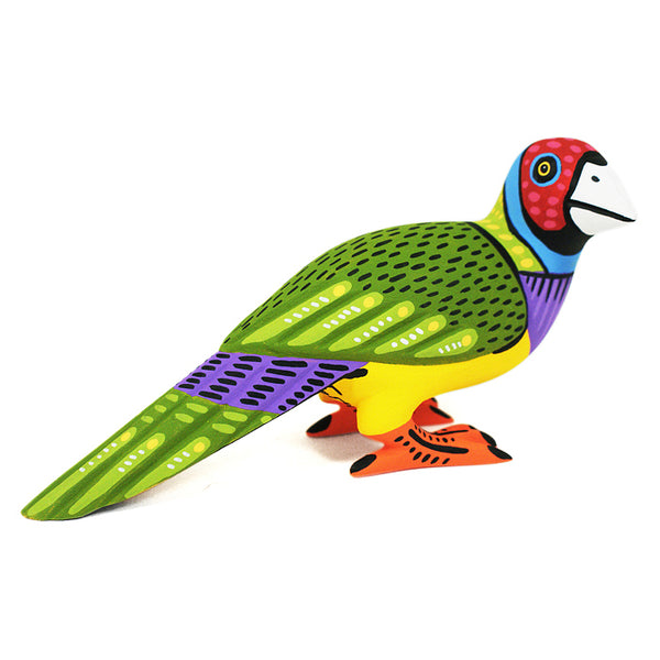 Luis Pablo: Finch ~ Bird Collection