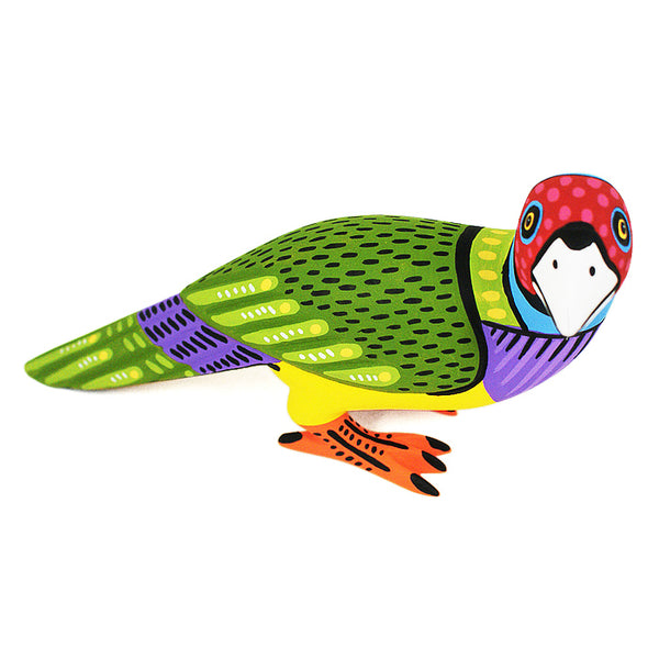 Luis Pablo: Finch ~ Bird Collection