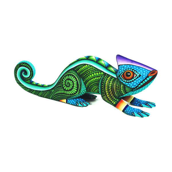 Jose Calvo & Magaly Fuentes: Little Chameleon
