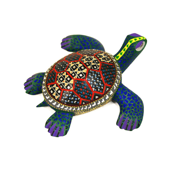 Agustin Roque: Little Sea Turtle