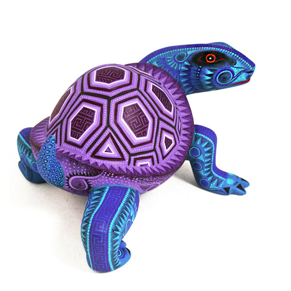 Rocio Fabian: Lavender Turtle