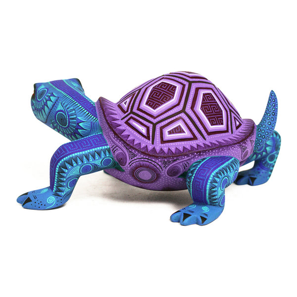 Rocio Fabian: Lavender Turtle