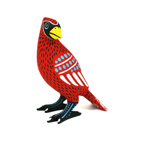 Luis Pablo: Cardinal ~ Bird Collection
