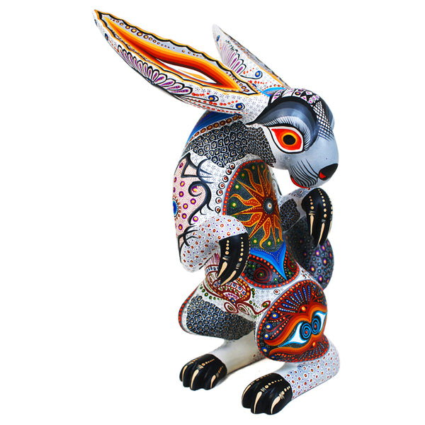 Luis Sosa: Friendly Hare